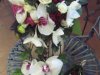 1_mina-bilder-181