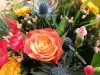 IMG_20220527_200232_888