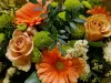 IMG_20240315_124712_152