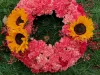 IMG_20221013_132952_207