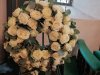 IMG_20231019_085859
