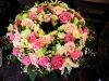 dscn1723