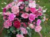 IMG_20200925_145617