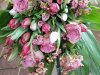 IMG_20210306_091417_355